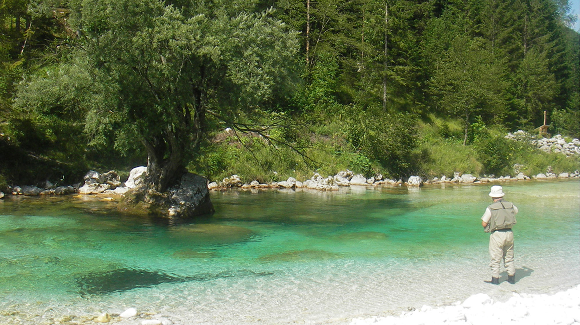 Guias Pesca Anglés 